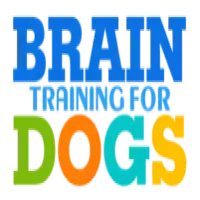 Brain Training for Dogs